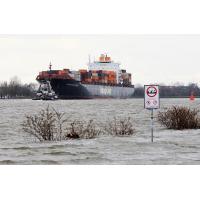 4375_0635 Strand mit Büschen, Uferbefestigung unter Wasser. | Hochwasser in Hamburg - Sturmflut.